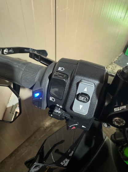 Kawasaki Z900 2020 SC Project