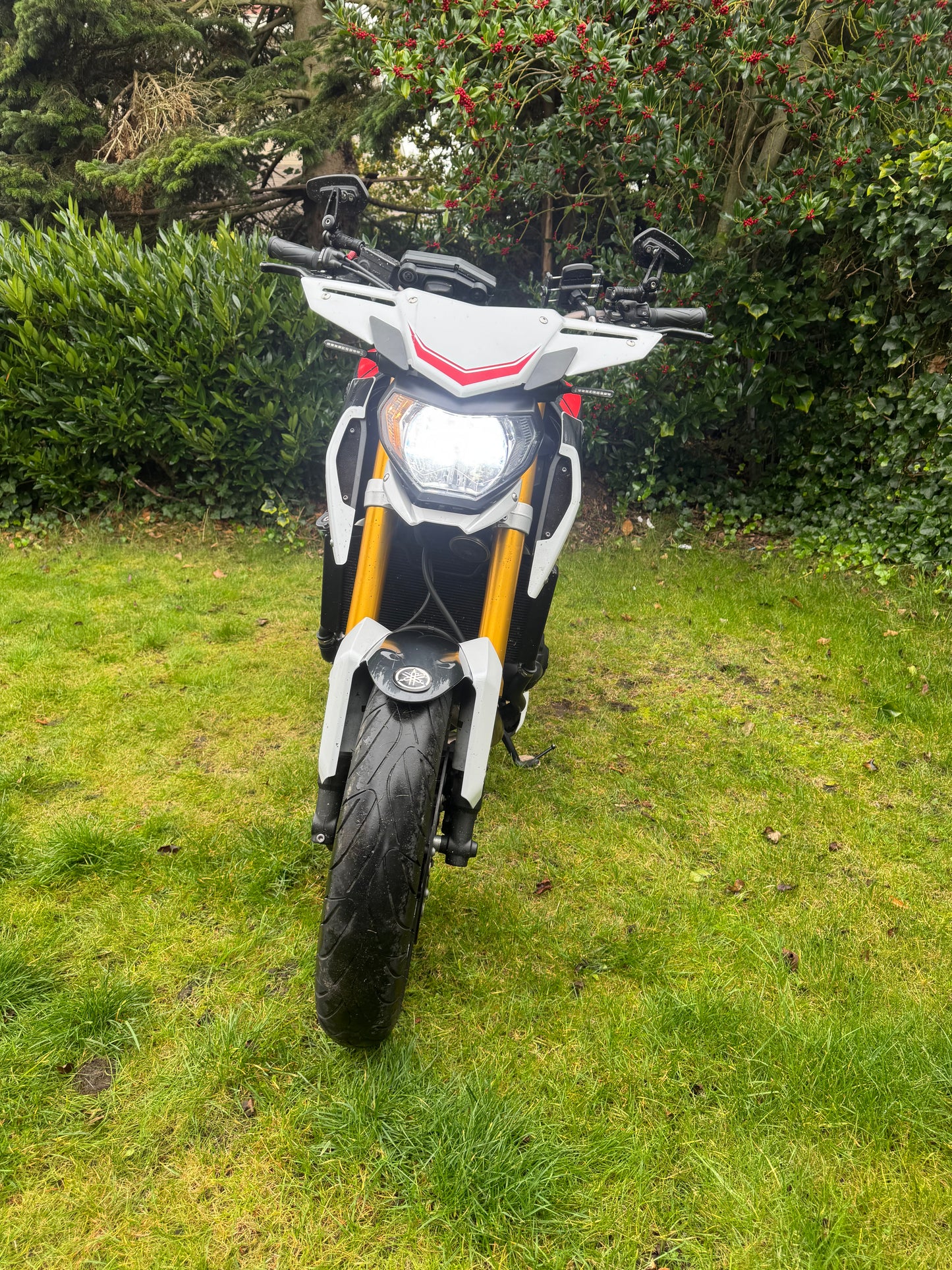Yamaha MT-09 Street Rally 2014